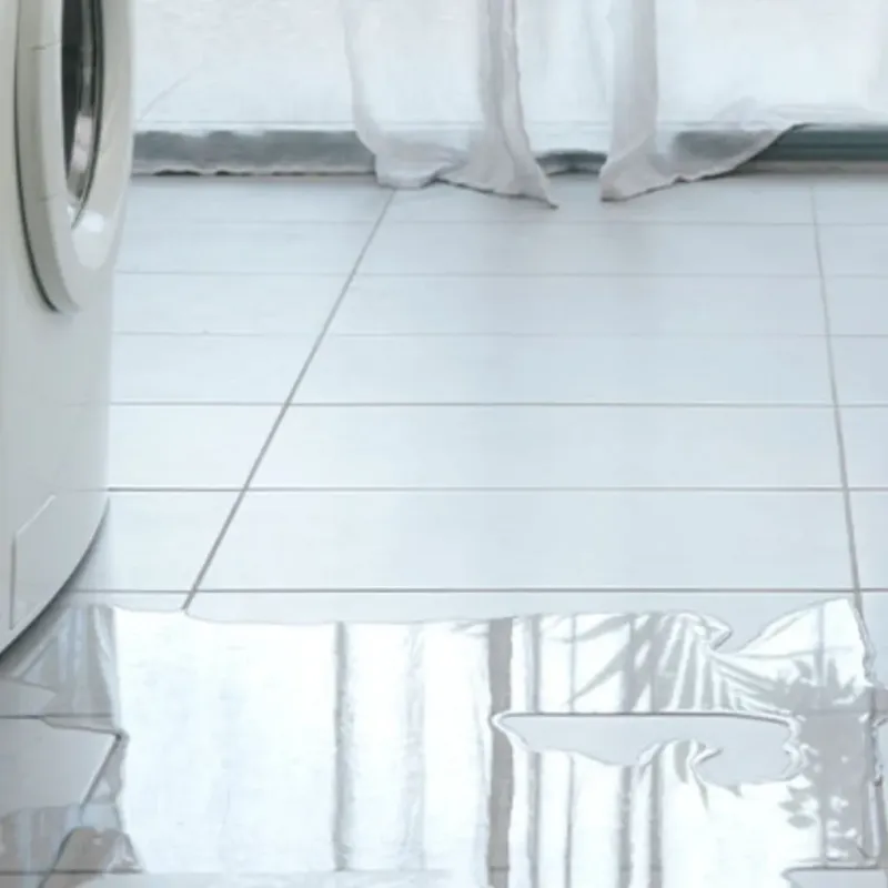 Appliance Leak Cleanup in Farmerville, LA