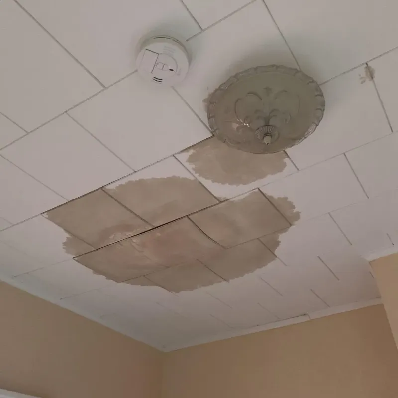 Ceiling Water Damage Repair in Farmerville, LA